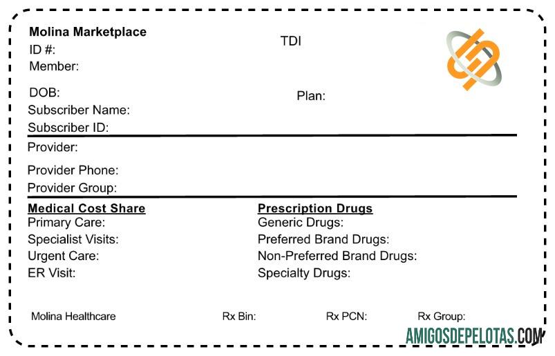 Cartão de seguro saúde da Coreia do Norte modelo